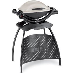 Weber® Q® 1000 Stand Titan