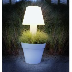 Elho Pure Twilight 50 - Bloempot - Transparant - Binnen & Buiten  - Ø 49.5 x H 91.5 cm - afbeelding 2