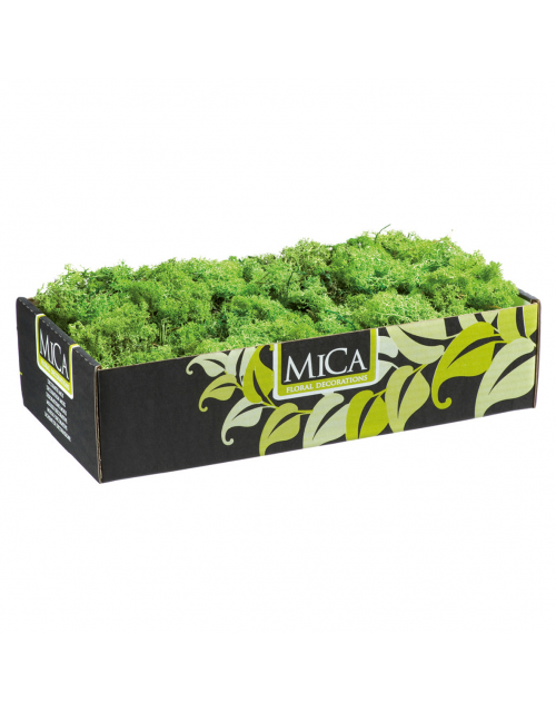 Rendiermos Mica L38B19.5H9.3 Groen 500Gr