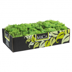 Rendiermos Mica L38B19.5H9.3 Groen 500Gr