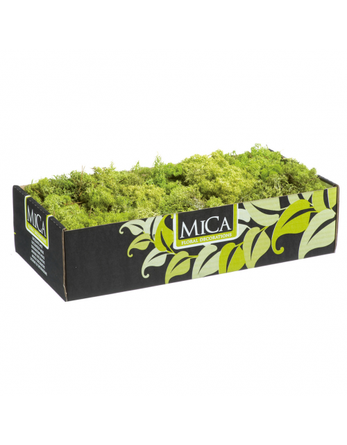 Rendiermos Mica L38B19.5H9.3 L.Groen  500Gr