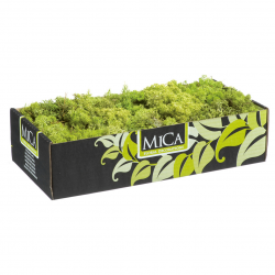 Rendiermos Mica L38B19.5H9.3 L.Groen  500Gr