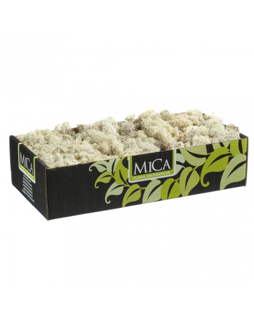 Rendiermos Mica L38B20H9.3 Beige Naturel 500Gr