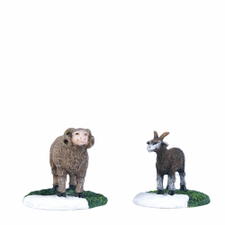 LuVille Sheep and goat