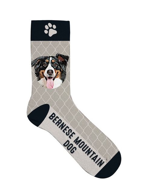 Sok Bernese Mountain Dog 36-41