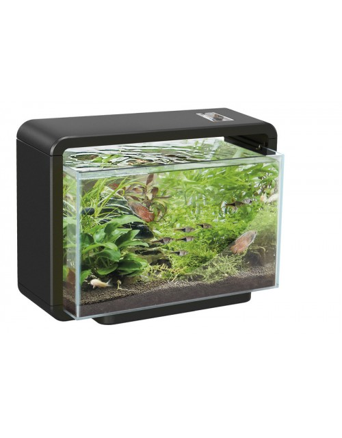 Sf Home 15 Aquarium Zwart