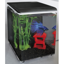 Sf Home 8 Aquarium Zwart