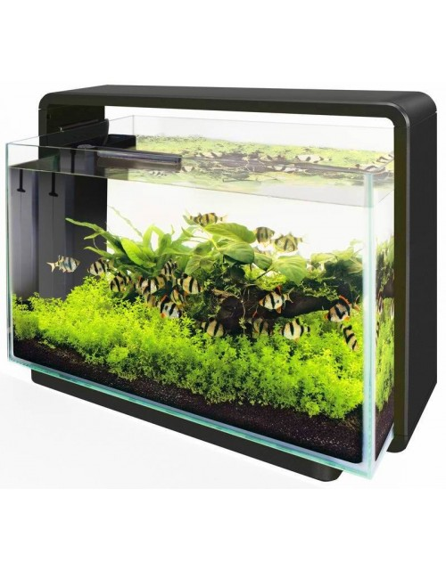 Sf Home 80 Aquarium Zwart