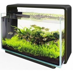 Sf Home 80 Aquarium Zwart