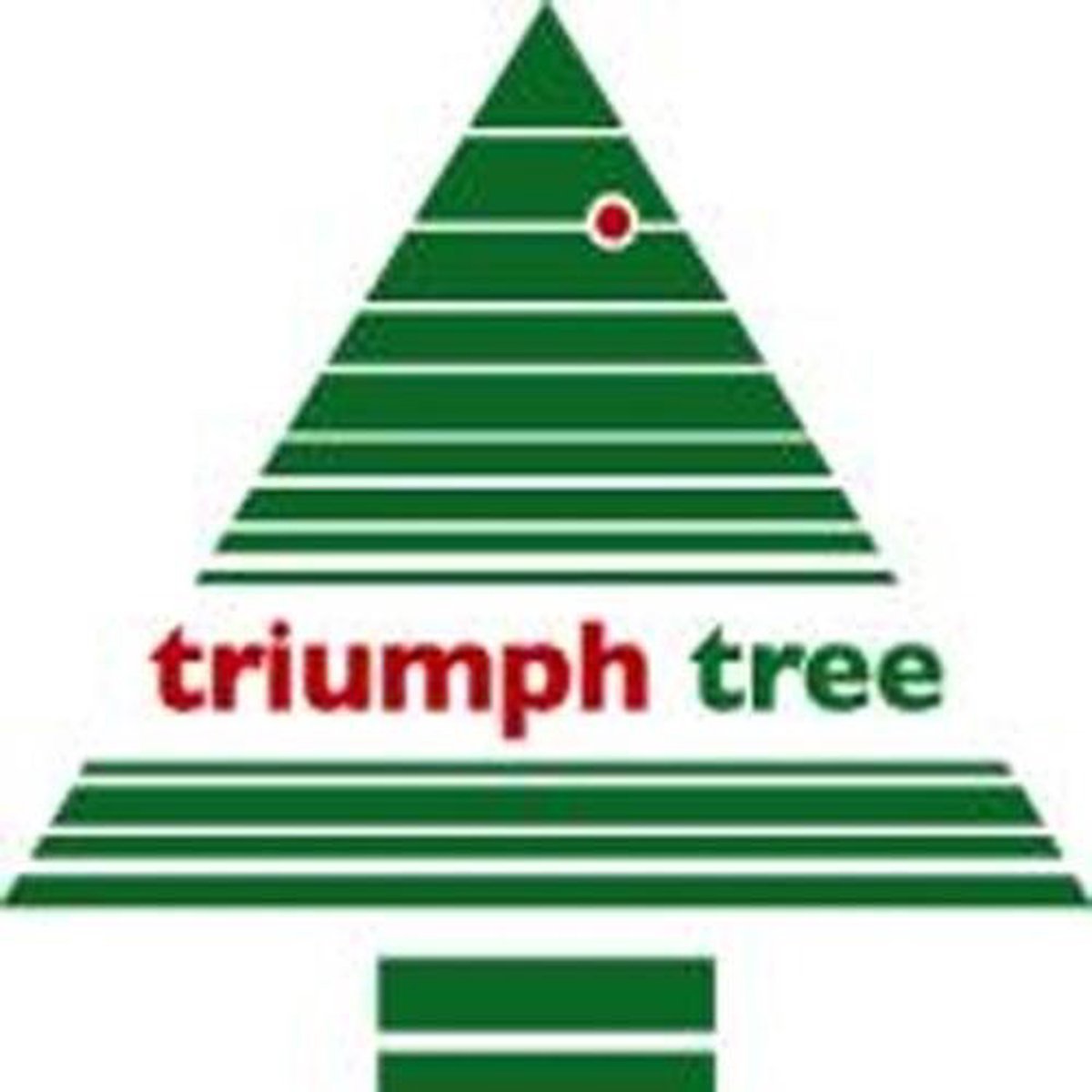 triumph tree Kerstboom matterhorn h155d99cm AVRI Bloem en Tuincentrum