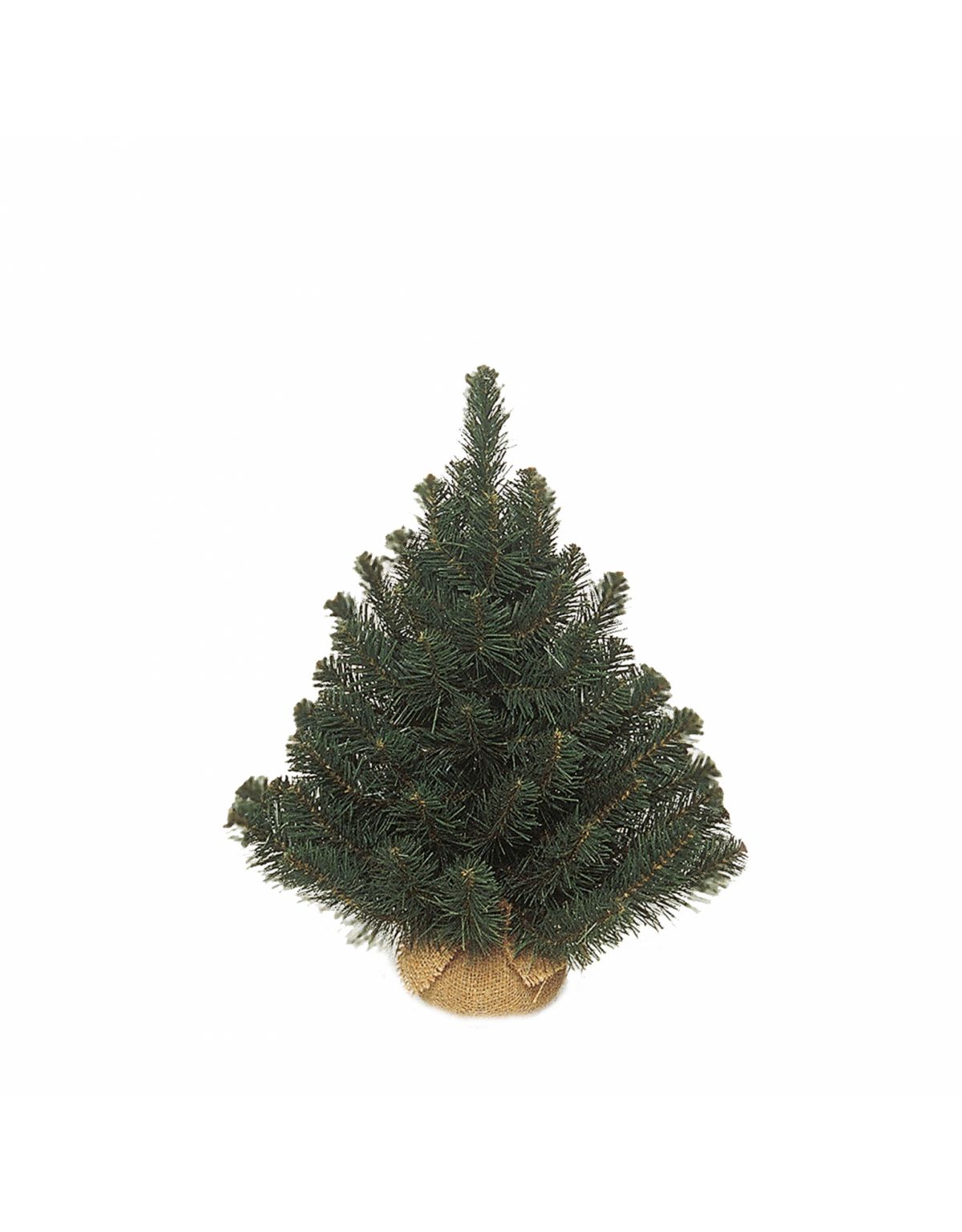 triumph tree Kunstkerstboom Alpine Pine Groen D51 H60 - AVRI Bloem- en ...