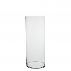 Vaas Dalio Glas H50D20 Transparant