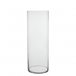 Vaas Dalio Glas H70D20 Transparant