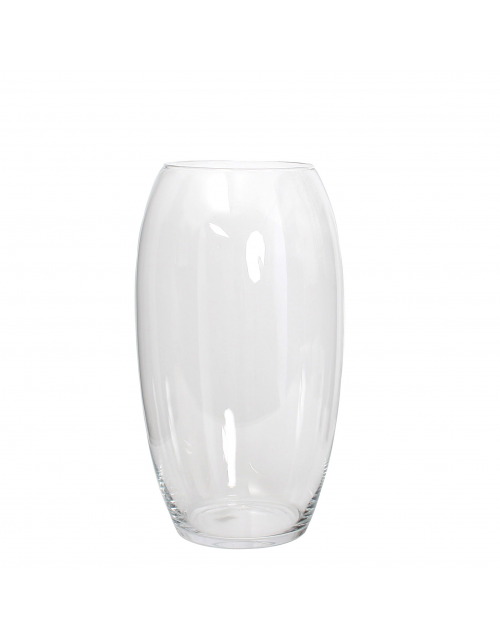 Vaas Vince Glas H45D25 Transparant