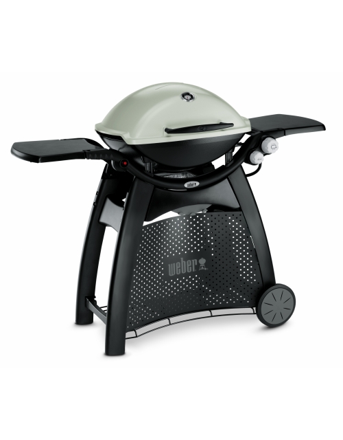 Weber® Q® 3000 Station Titan